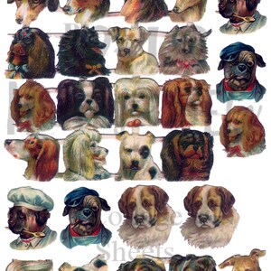 Perro grande cabezas número Digital descargar Collage