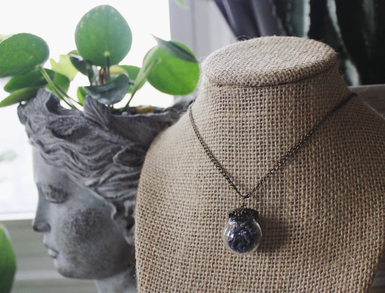 Small Brass Top Glass Pendant with Real Organic Lavender