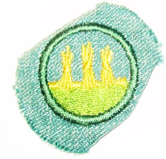 Vintage Intermediate Girl Scout Badge "Outdoor Sa… - image 1