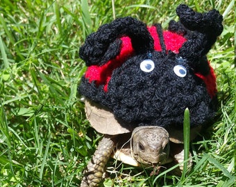 Crochet Ladybug/Ladybird Costume for Turtles/ Tortoises