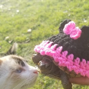 Mouse Costume for Turtles/ Tortoise