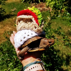 Crochet Street Taco Costume for Turtles/ Tortoises