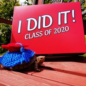 Graduation Cap Costume for Turtle/ Tortoise (Please Provide Requested Color Number in Buyer's Note)