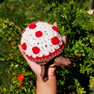 Pepperoni Pizza Costume for Turtle/Tortoises