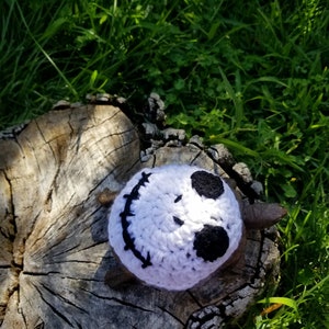 Skull Turtle/ Tortoise Costume