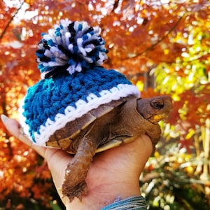 Festive Pom Pom Turtle/ Tortoise Costume