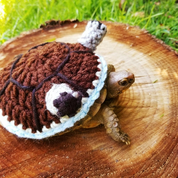 Clothing for Tortoises Etsy