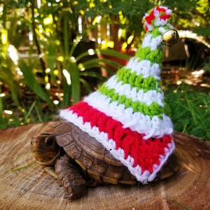 Elf Hat Costume for Turtle/Tortoises