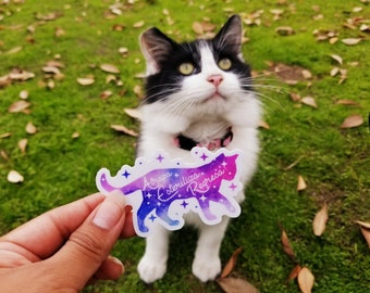 Atrapa, Esteriliza y Regresa | Trap, Neuter and Return (TNR) Galaxy Sticker (ON SALE) - Sticker in Spanish