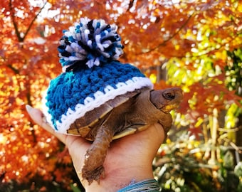 Festive Pom Pom Turtle/ Tortoise Costume