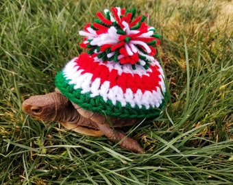 Festive Pom Pom Turtle/ Tortoise Costume