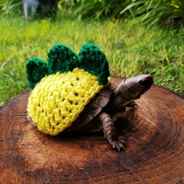 Dinosaur Crochet Costume with 3 Spikes for Turtle (ON SALE)(Please Provide Requested Colors)