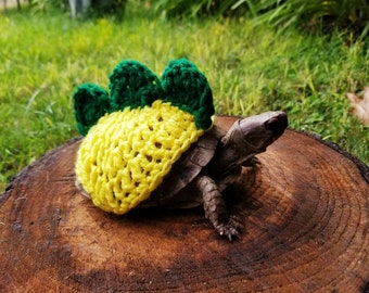 Dinosaur Crochet Costume with 3 Spikes for Turtle (ON SALE)(Please Provide Requested Colors)