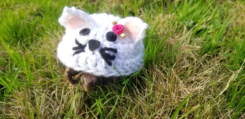 Cat/Kitten Costume for Turtles/ Tortoises image 2