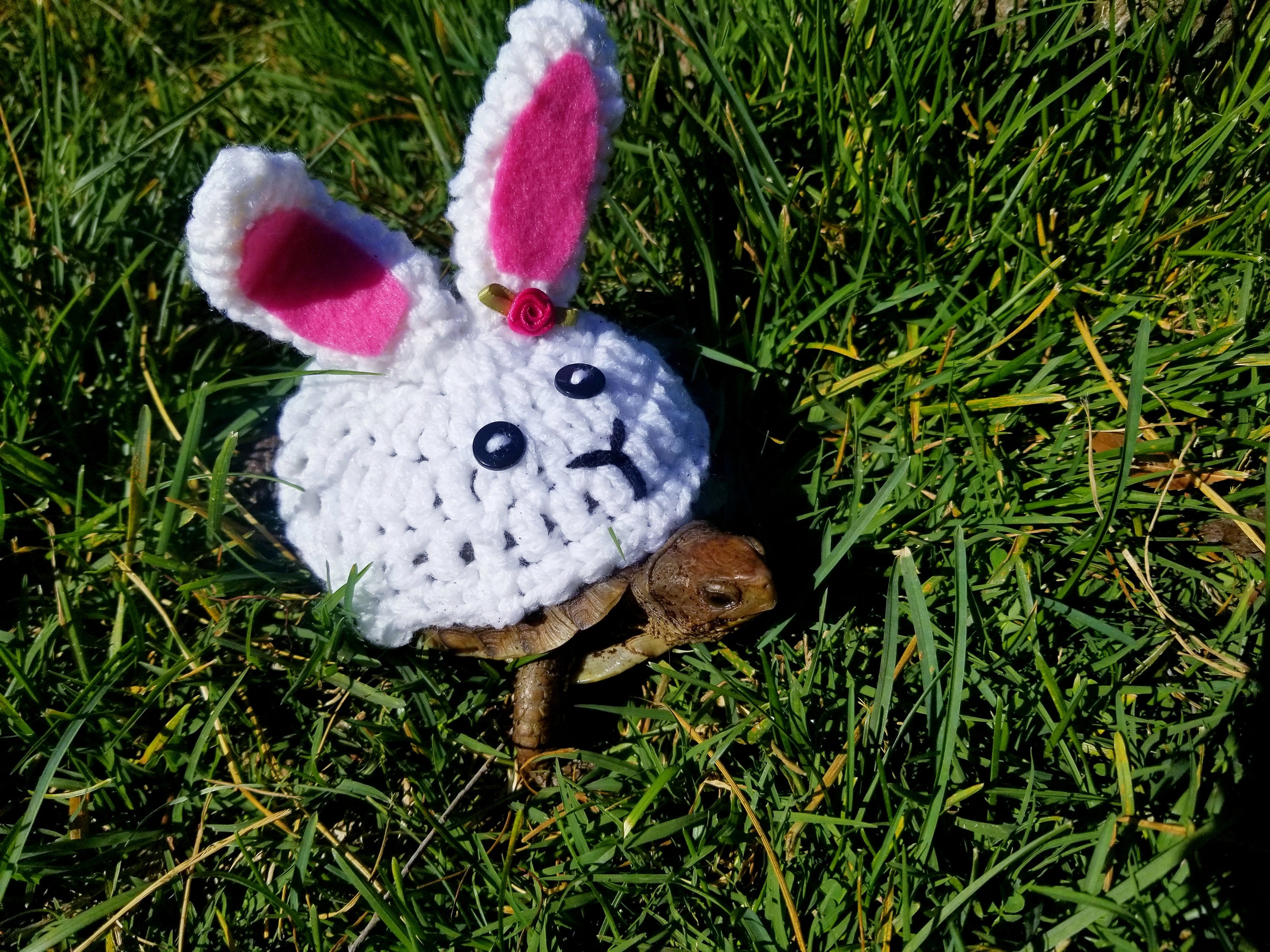 Turtle Rabbit Costume Bunny Rabbit Costume for Turtle/ Tortoise | Etsy