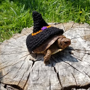 Witch Hat Costume for Turtles/Tortoises