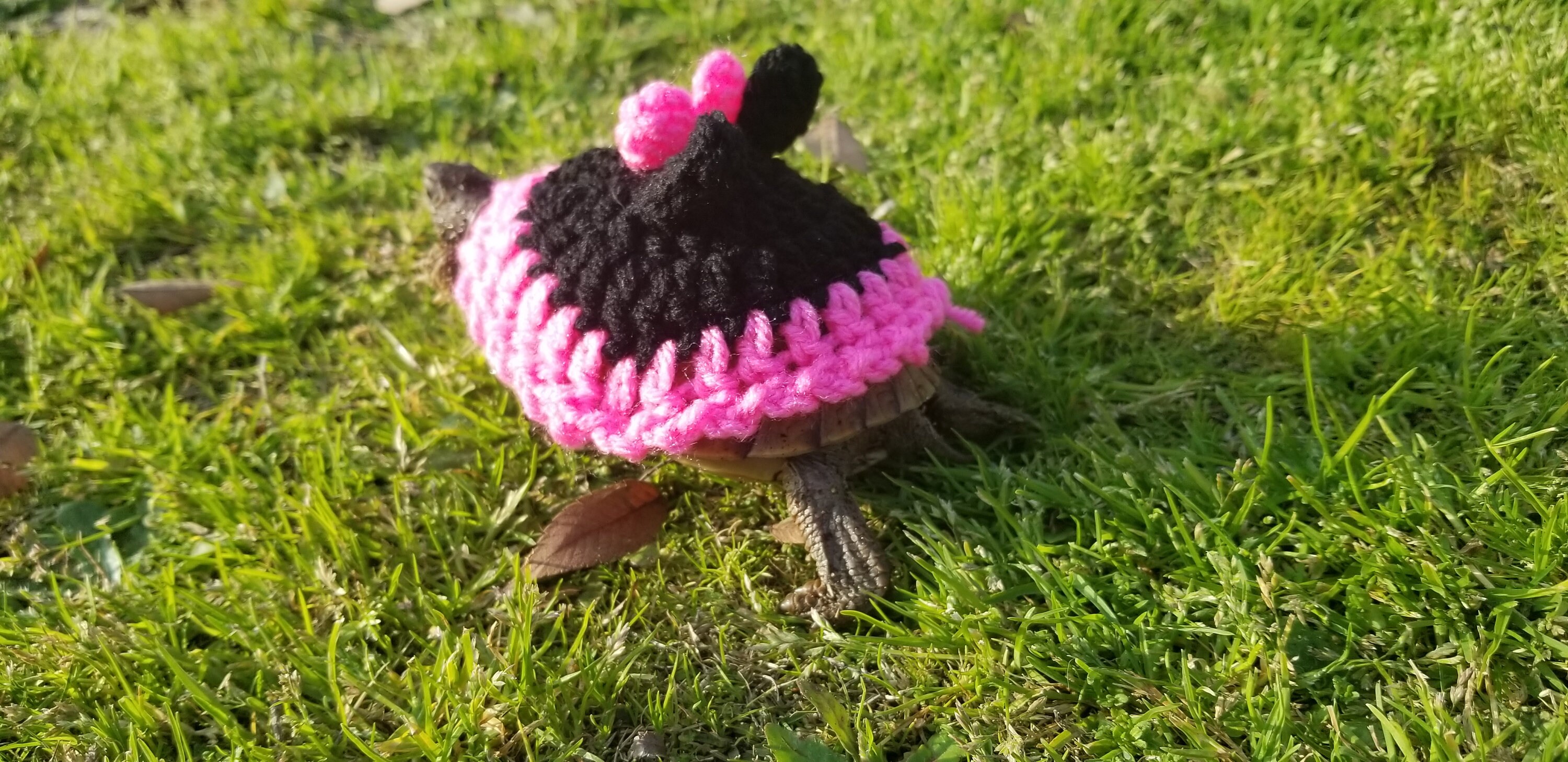 Mouse Costume for Turtles/ Tortoise - Etsy