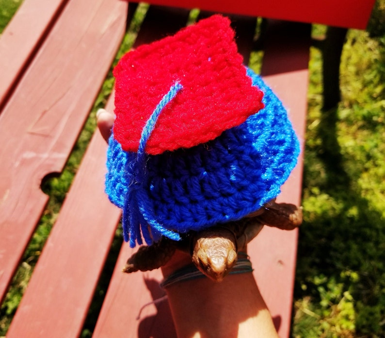 Graduation Cap Costume for Turtle/ Tortoise please Provide Etsy