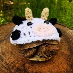 Cow Crochet Costume for Turtles/ Tortoises