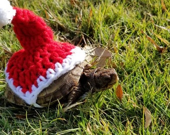 Crochet Santa Hat Turtle/Tortoise Costume