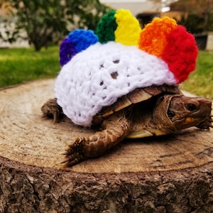 Rainbow Dinosaur Crochet Costume for Turtle/Tortoise (ON SALE)