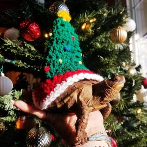 Könnte beinhalten: Eine kleine Schildkröte trägt einen grünen, roten und weißen gehäkelten Weihnachtsbaumhut. Die Schildkröte sitzt auf der Hand einer Person vor einem Weihnachtsbaum.