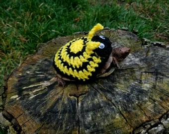 Bumblebee Costume for Turtle/Tortoises