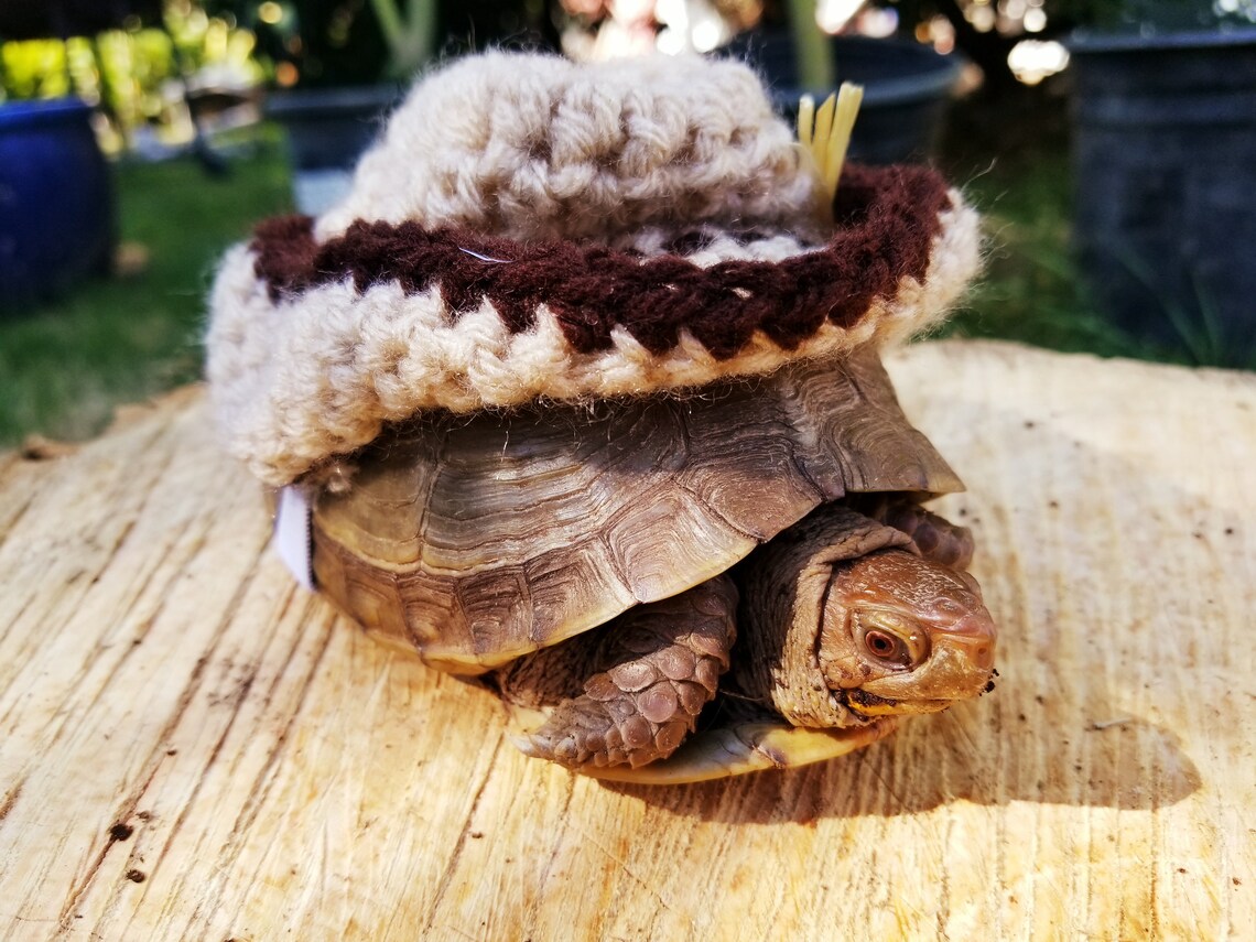 Sombrero de vaquero con traje de paja para tortugas / tortugas | Etsy
