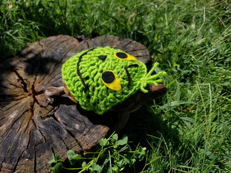 Grinch Inspired Costume for Turtle/ Tortoise image 5