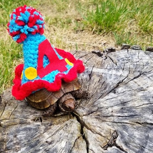 Könnte beinhalten: Eine kleine Schildkröte trägt einen blauen und roten Häkel-Partyhut mit einem gelben Bommel und der Zahl "4" auf der Vorderseite.