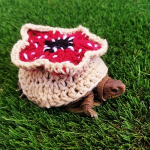 Scary Monster Inspired Crochet Costume for Turtles/ Tortoises