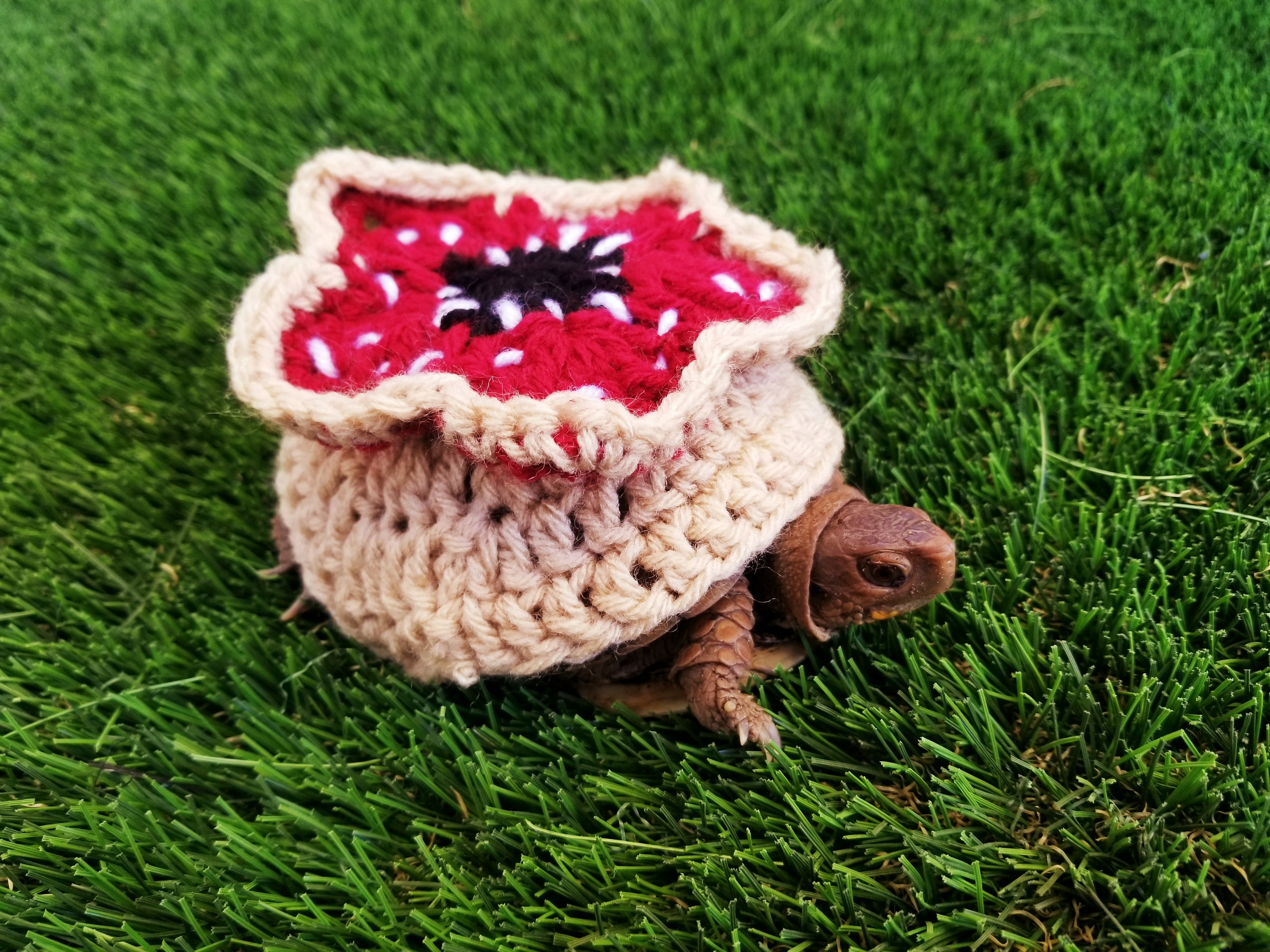 Scary Monster Inspired Crochet Costume For Turtles/ Tortoises