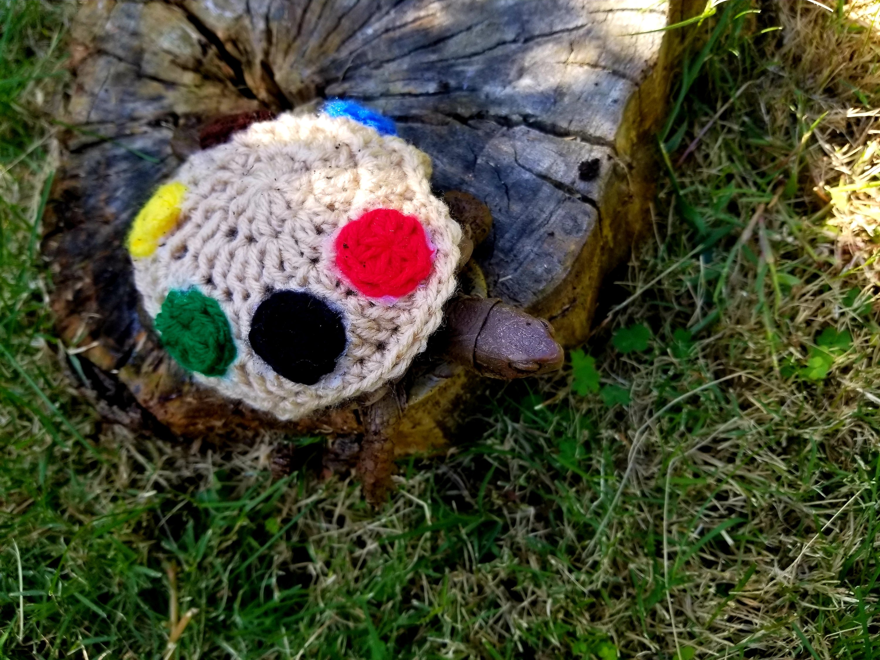 Paint Palette Costume for Turtle/tortoises Etsy