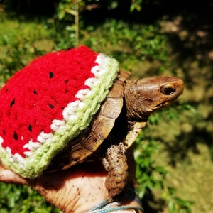 Crochet Watermelon Turtle/Tortoise Costume