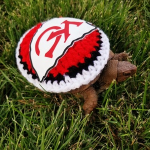 Football Team Inspired Costume for Turtle/ Tortoise