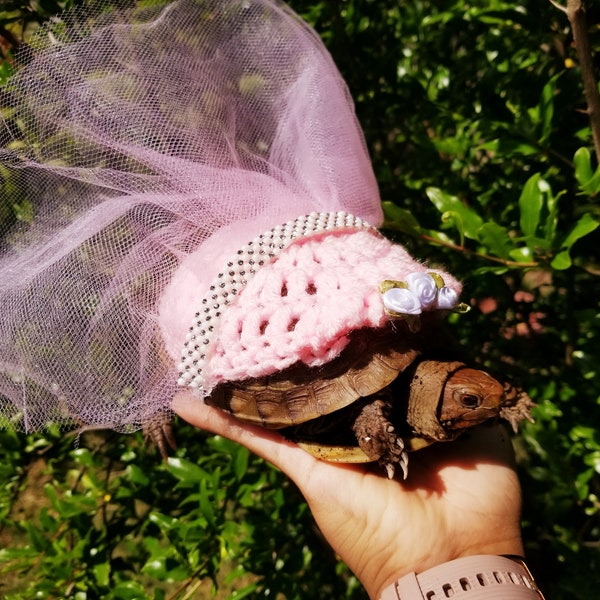 Bridesmaid Dress Crochet Costume for Turtles/ Tortoises