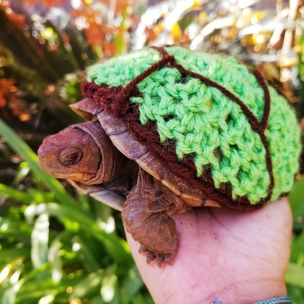 Turtle Shell Crochet Costume pour Tortue / Tortue