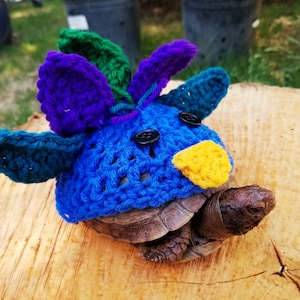 Peacock Inspired Crochet Costume for Turtles/ Tortoises