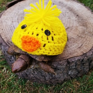 Chick Crochet Costume for Turtle/ Tortoise Costume