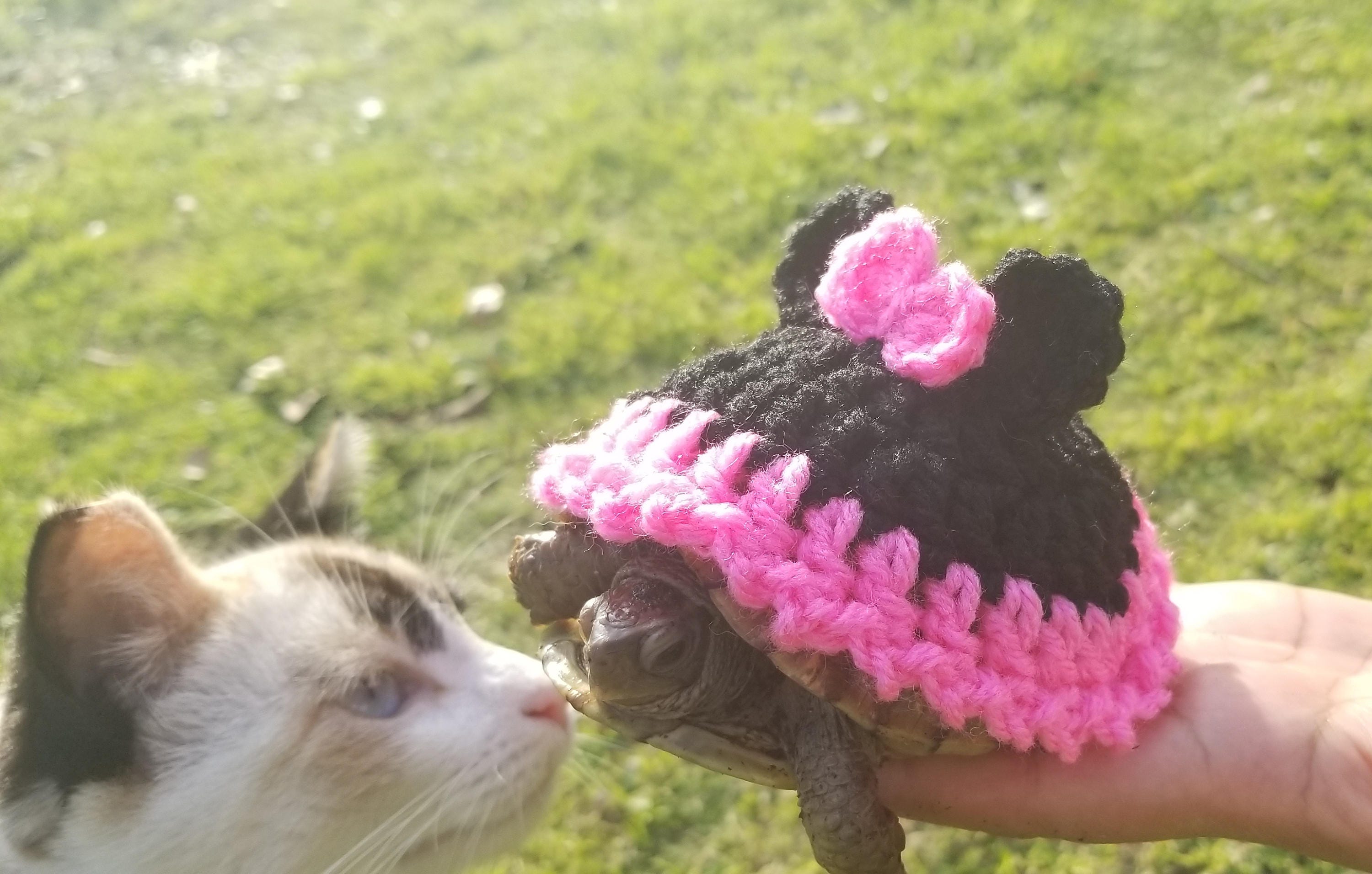 Mouse Costume For Turtles/ Tortoise