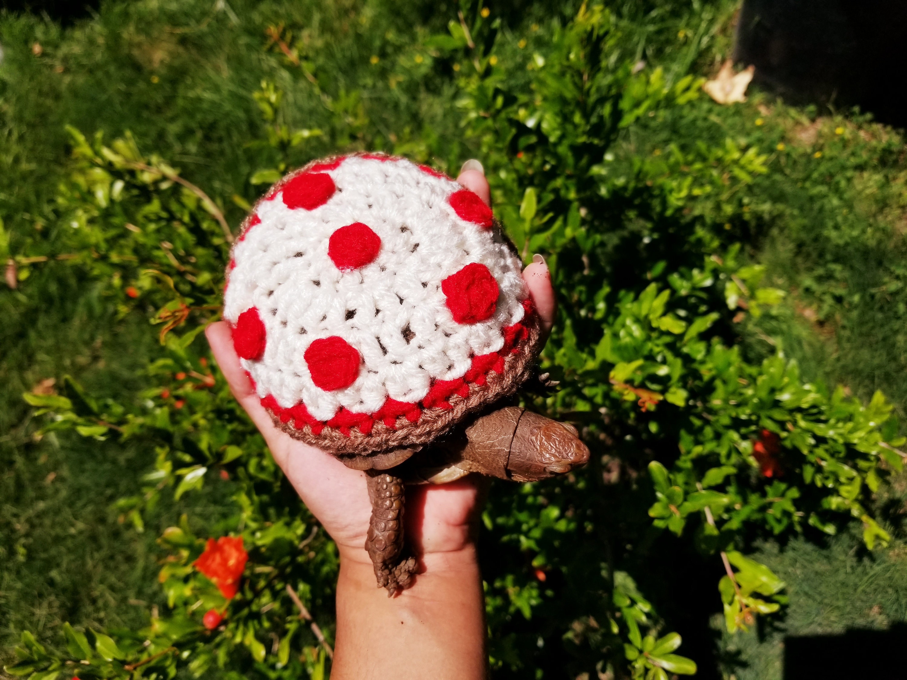 Pepperoni Pizza Costume For Turtle/Tortoises