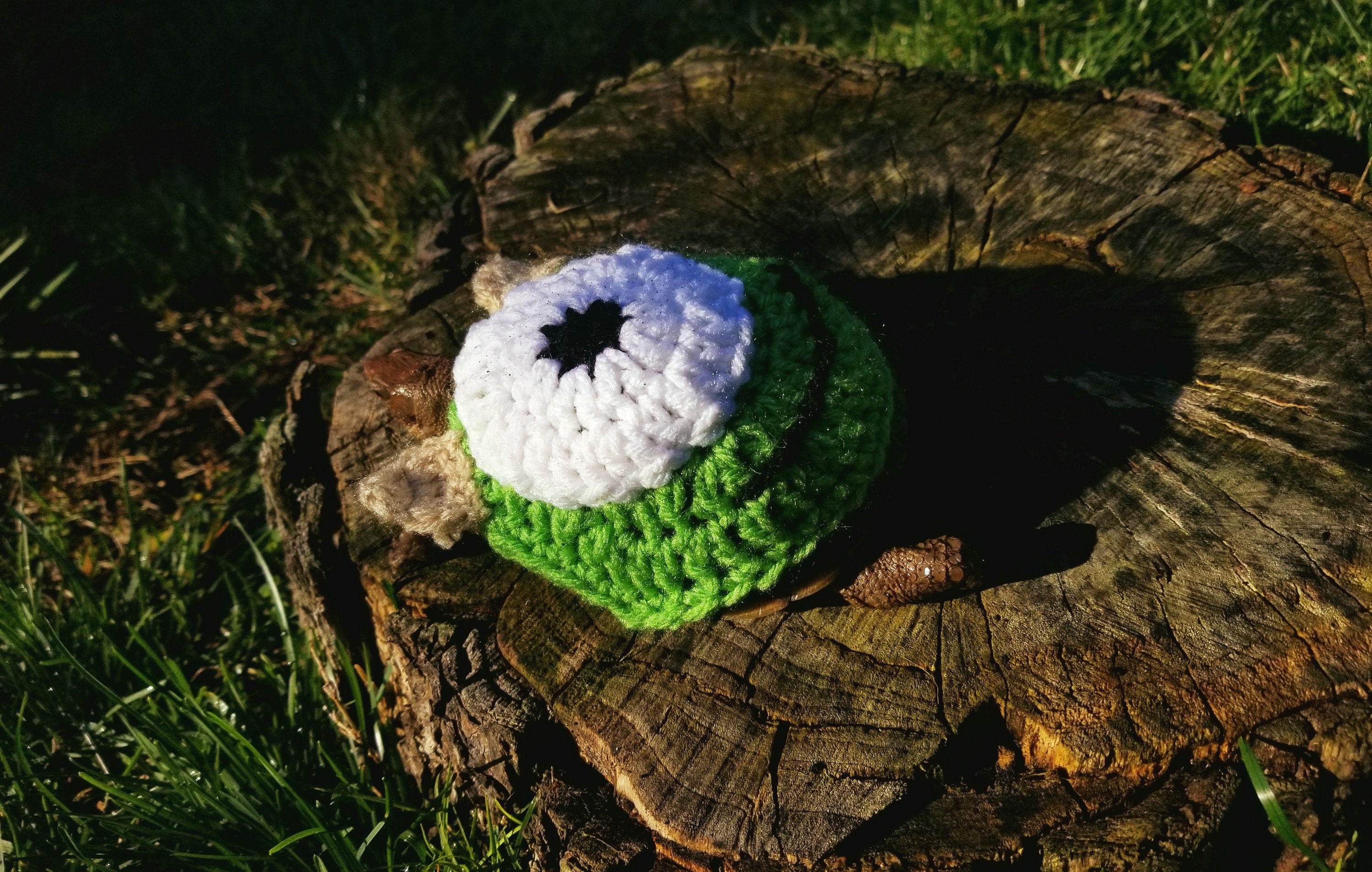 Green Monster Costume For Turtle/Tortoises