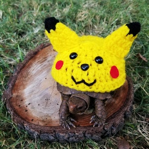 Electric Mouse Halloween Inspired Costume for Turtle/ Tortoise