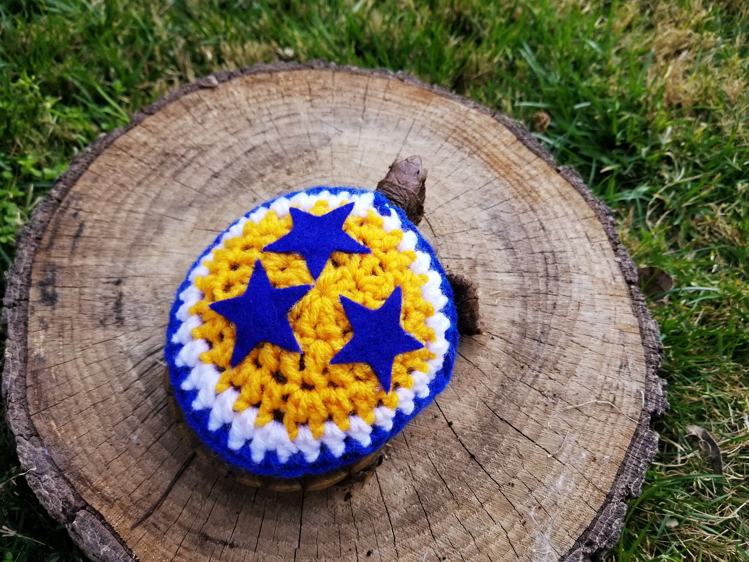 Hockey Team Inspired Crochet Costume for Turtle/Tortoises