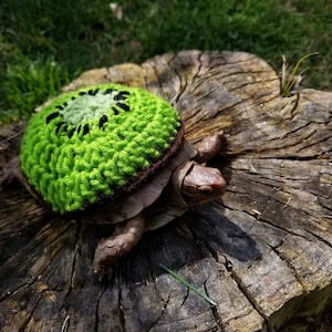 Crochet Kiwi Costume for Turtles/ Tortoises