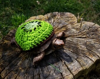 May include: A small turtle wearing a green knitted kiwi costume. The turtle is sitting on a tree stump.