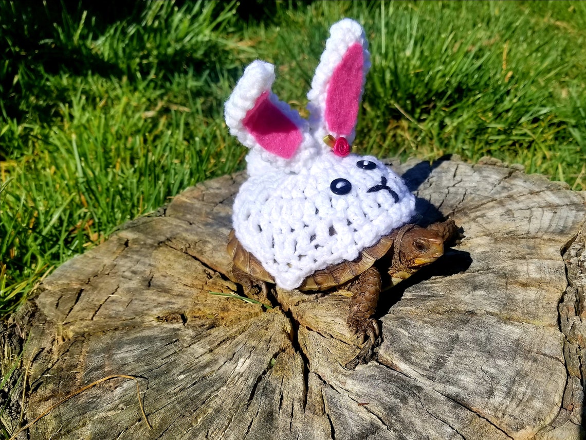 Bunny Rabbit Costume for Turtle/ Tortoise | Etsy