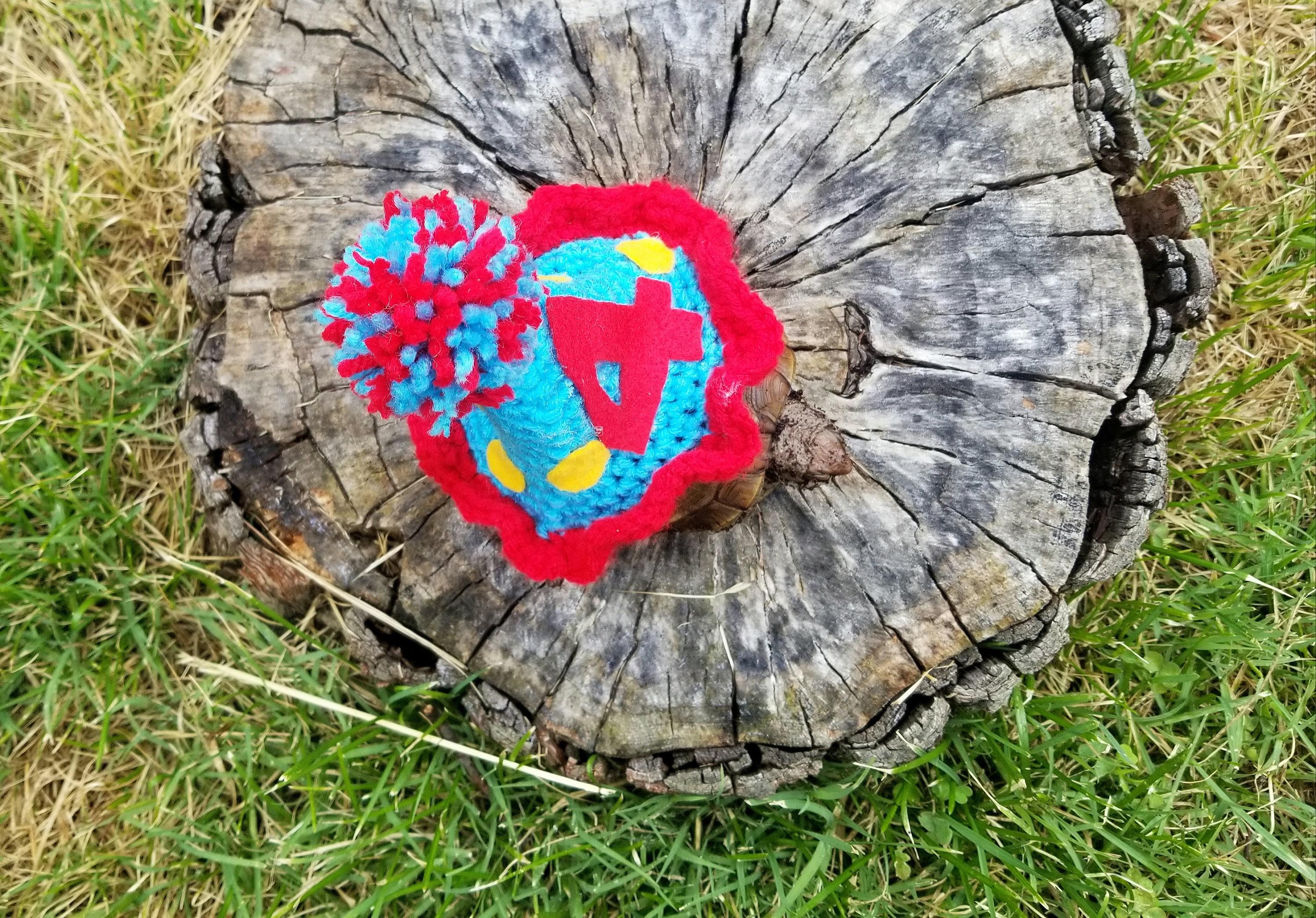 birthday-hat-costume-for-turtles-tortoises-etsy