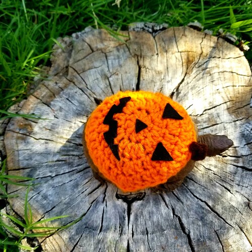 Jack-o'-lantern Turtle/Tortoise Costume