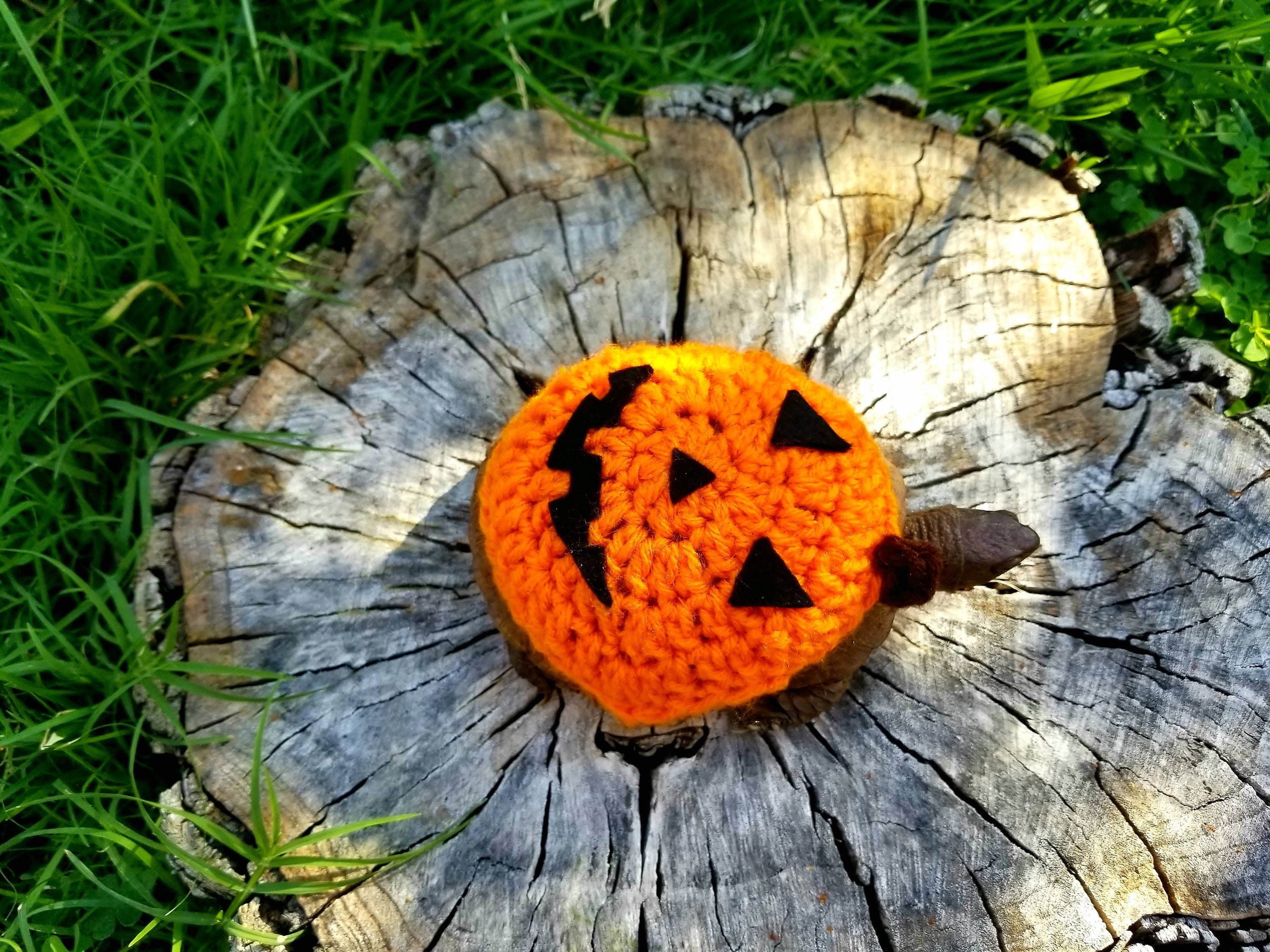 Jack-o'-lantern Turtle/Tortoise Costume